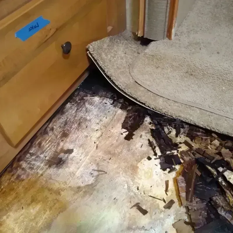 Best Wood Floor Water Damage Service in North Merrick, NY